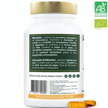 Curcuma Bio Breveté TurmiPure Gold™ | 30 gélules de 300mg 2