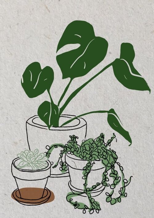 3 planten