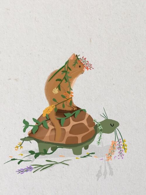 Kat met schildpad