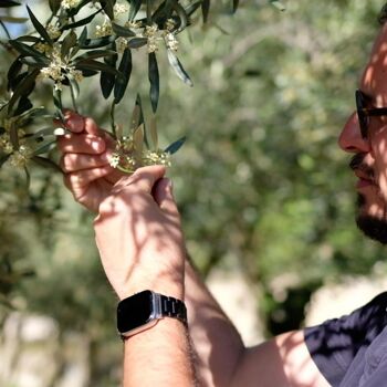 Huile d'olive extra vierge biologique Monocultivar Tonda Iblea - 500 ml 3