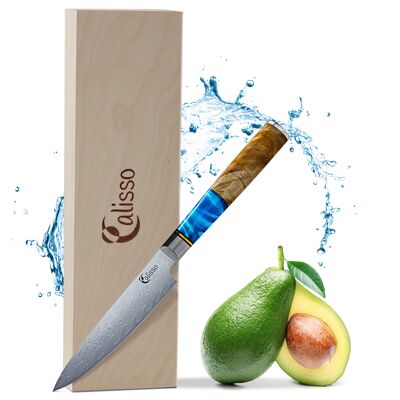 Damascus Utility knife Blue Handle - AQUAMARINE