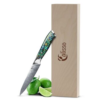 Universal Knife Damascus Couteau universel - ABALONE 1