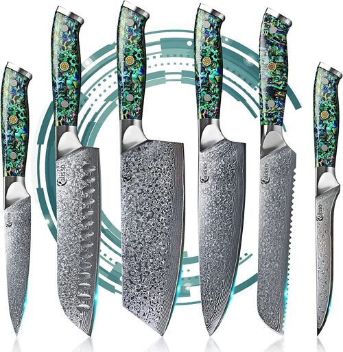 Advanced Set 67 Layers Damascus Steel Knife Set - ABALONE