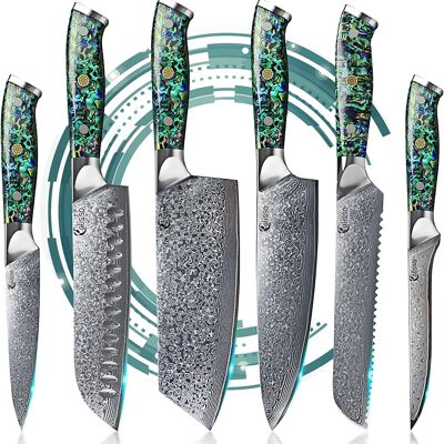 Juego avanzado de cuchillos de acero de Damasco de 67 capas - ABALONE