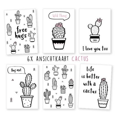 Kimago.nl -  ansichtkaart -  6 stuks -  valentijn -  liefde -  cactus