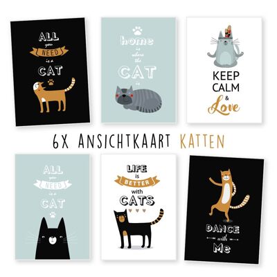 Kimago.nl -  Ansichtkaart -  6 stuks  -  katten -  verjaardag -  algemeen