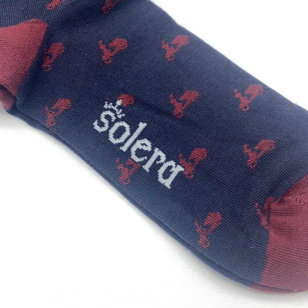Calzini Vespa Navy/Bordeaux