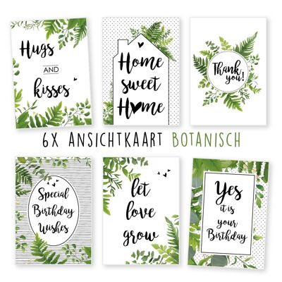 Kimago.nl -  ansichtkaart -  6 stuks  -  liefde -  diverse -  verjaardag -  botanisch