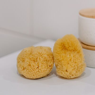 Natural face sponges 50 pieces special offer