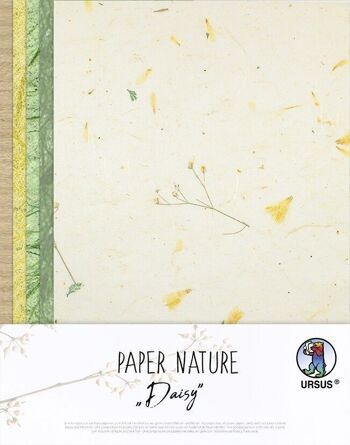 Papier Nature "Marguerite" 6
