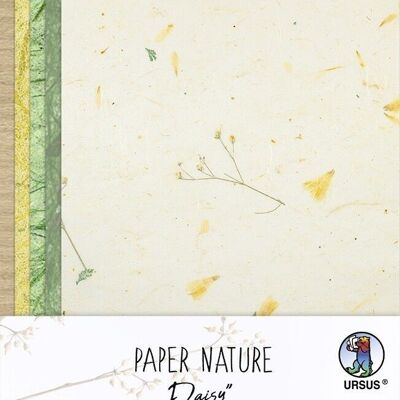Papier Nature "Marguerite"