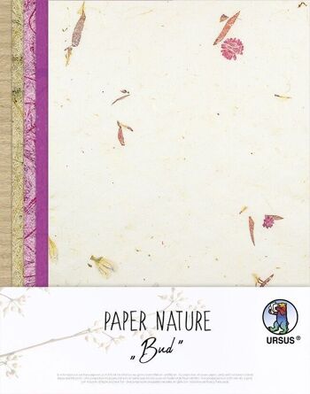 Papier Nature "Bourgeon" 6