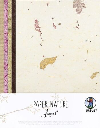 Papier Nature "Feuilles" 1