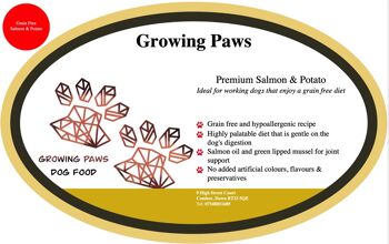 Nourriture pour chiens au saumon et aux pommes de terre - sans céréales (15 kg) 2
