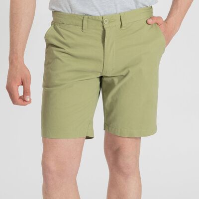 Bermuda Verde