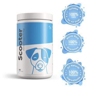 SCOOTER - Supplément de glande anale pour chiens et chiots 2
