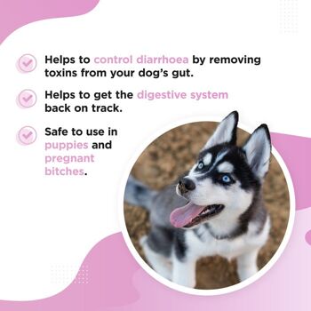 GUTSY - Suspension abdominale à action rapide pour chiens et chiots - 250 ml 4