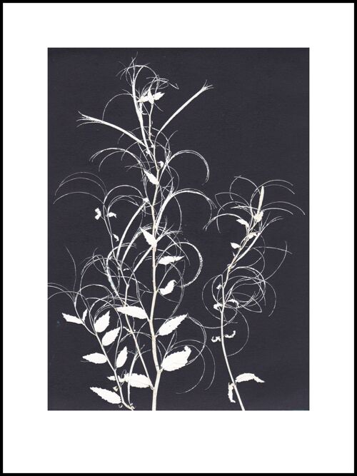 30x40 Willow herb black