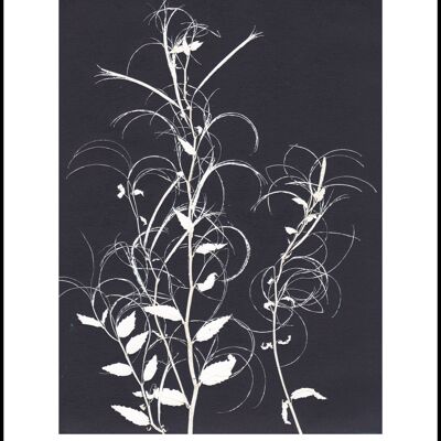 30x40 Willow herb black