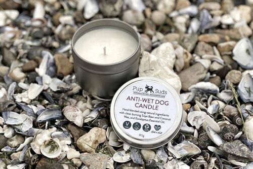 Anti-Wet Dog Smell Candle