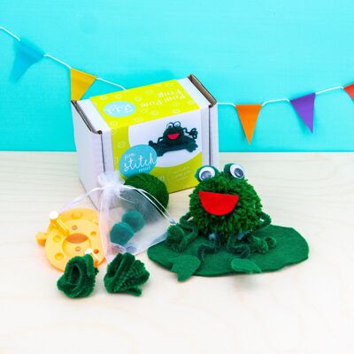 Pom Pom Frog Craft Kit