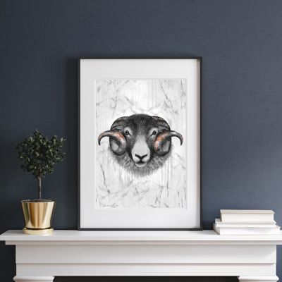 Swaledale Ram Illustrated Print Bronze/Silver (Mount Only) - Bronze 10''x12''