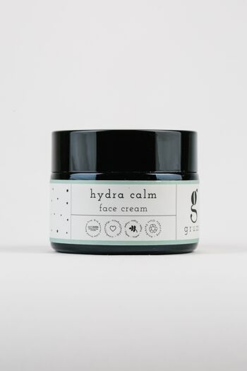 crème pour le visage hydra calm - crème pour le visage à l'acide hyaluronique + ingrédients recyclés (antiallergiques) 4