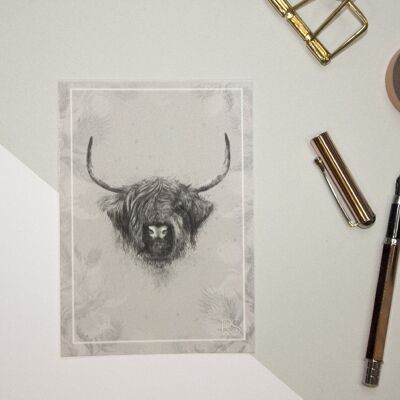 Highland Cow Postcard - Single