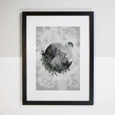 Luna Bear Illustrated Mounted Print A3 (16'' x 20'')