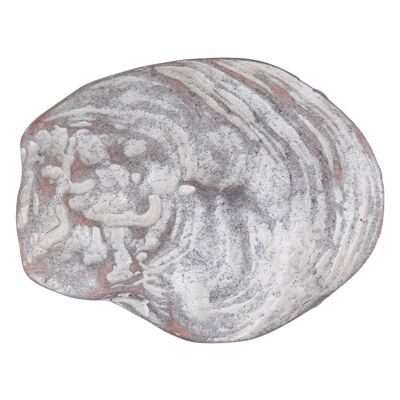 Belt buckle oyster shell grey-rosé