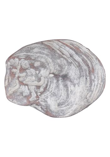 Boucle de ceinture oyster shell gris-rosé 1