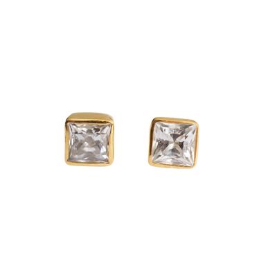 Pegasus Princess Cut Diamond Bezel Set Stud Earrings / 14k White