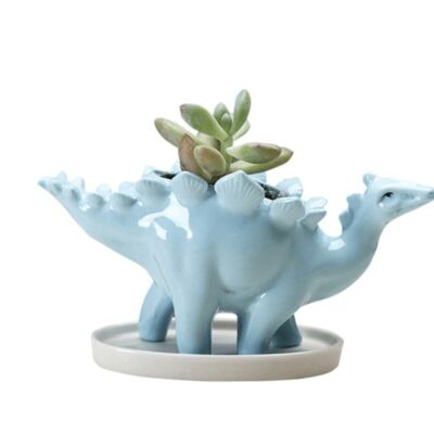 Dinosaur Stegosaurus Flower Pot - Blue / sku230