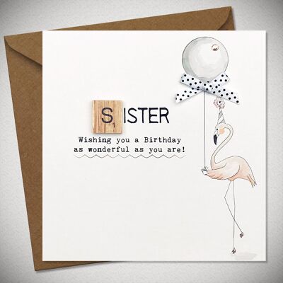 SISTER  Wishing you a Birthday as wonderful as you are! - BexyBoo081