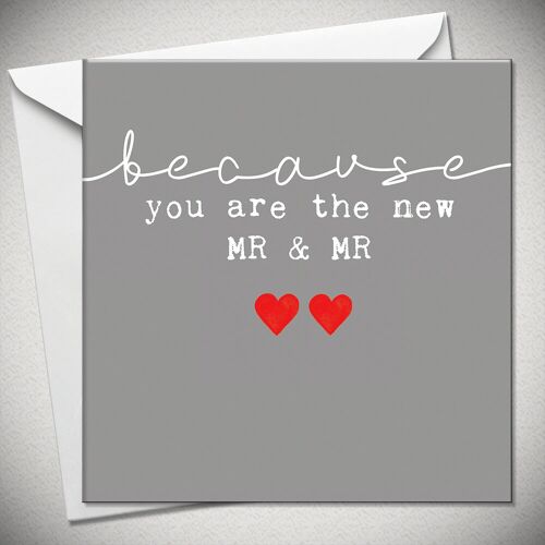 …because you are the new MR & MR - BexyBoo108
