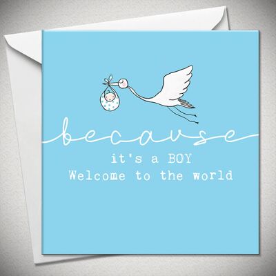 …because it’s a BOY – welcome to world - BexyBoo131