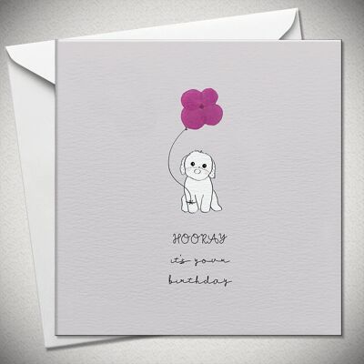 HOORAY it’s your birthday (dog) – pink hydrangea - BexyBoo236