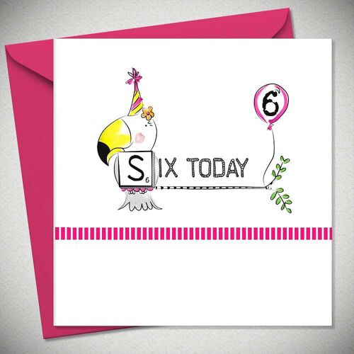 SIX TODAY – Toucan (6 Pack) - BexyBoo519