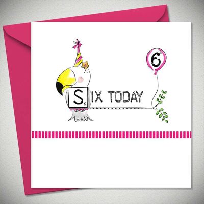 SIX AUJOURD'HUI - Toucan (Lot de 6) - BexyBoo519