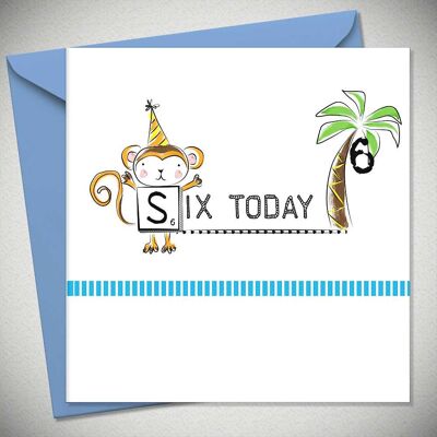 SIX TODAY – Monkey (6 Pack) - BexyBoo533