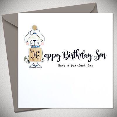 HAPPY BIRTHDAY SON – Have a paw-fect day - BexyBoo729