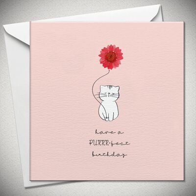 habe einen PURRR-fekten Geburtstag (Katze) – rotes Gänseblümchen – BexyBoo749