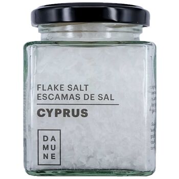 Flocons de sel de Chypre 100g 1