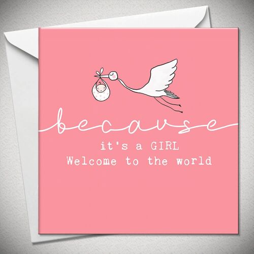 …because it’s a GIRL – welcome to the world - BexyBoo1367