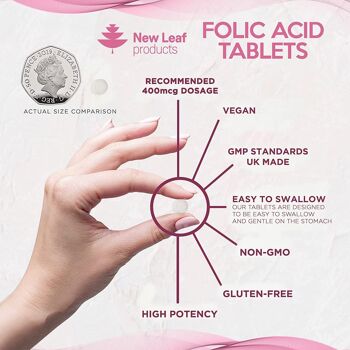 Acide folique 400 mcg Comprimés de vitamine B9 Suppléments de folate 3