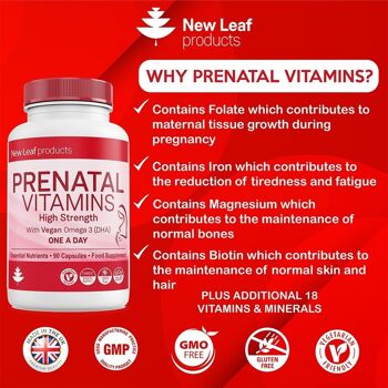 Vitamines de grossesse pour femmes avec DHA végétalien + acide folique (approvisionnement de valeur de 3 mois pour le trimestre complet) 2