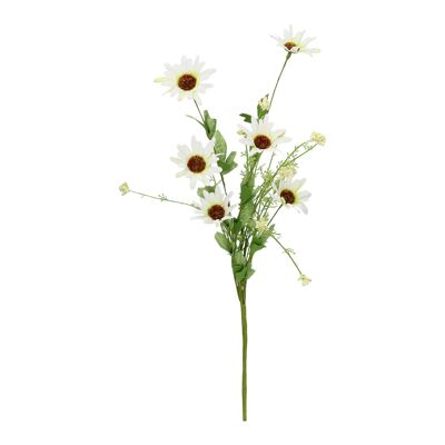 Bouquet with white cosmea flowers