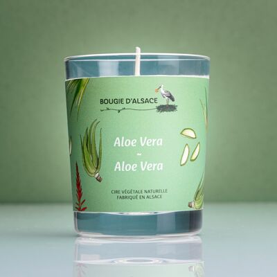 Natürliche Aloe Vera Kerze
