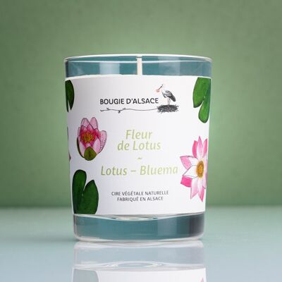 Vela Natural Flor de Loto