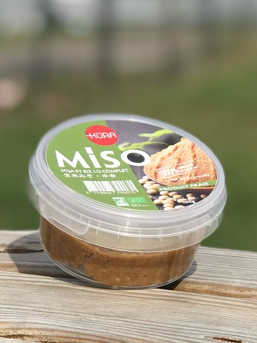 Miso frais de Riz & Soja Moyen (12 mois) - Middle Raw Miso - 生みそ - (100g)